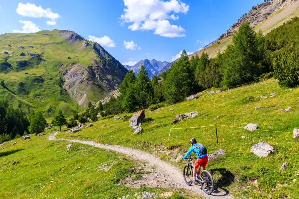 Ciclista che percorre un sentiero di montagna immerso nel verde durante una giornata soleggiata.